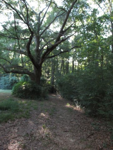 img_4961.jpg
