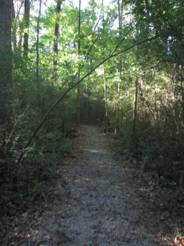 img_4964.jpg