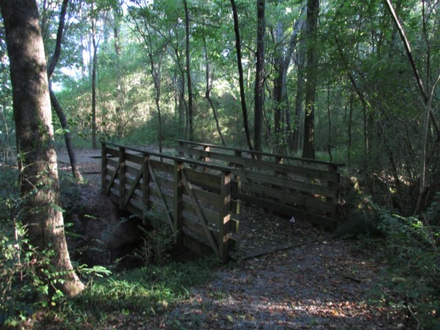 img_4975.jpg