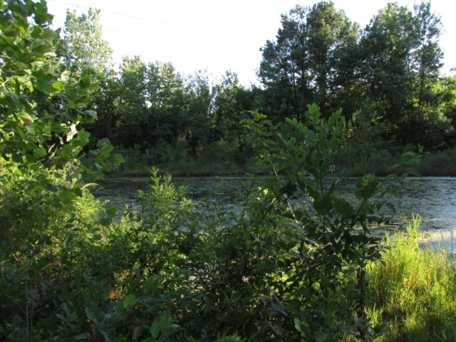 img_4985.jpg