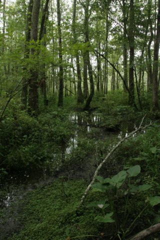 img_0648.jpg