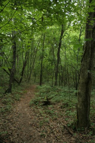 img_1094.jpg