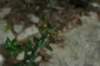 img_1125_small.jpg