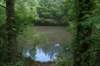 pond_small.jpg