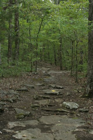 img_1995.jpg