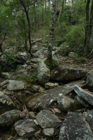 img_2543.jpg