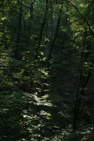 img_2733.jpg