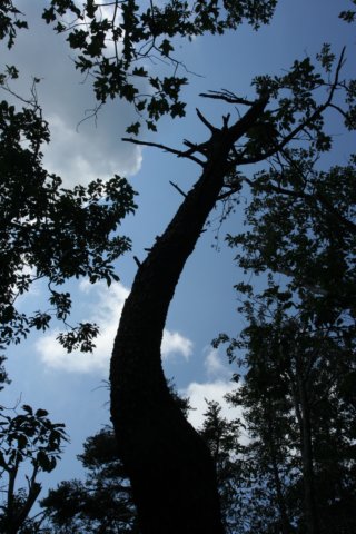 img_2796.jpg