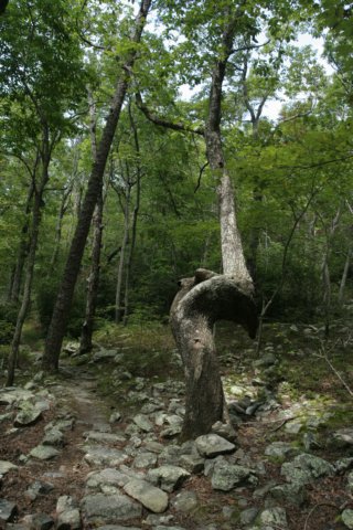 img_2823.jpg