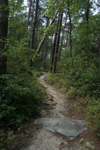 img_2826.jpg