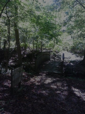 cam00706.jpg