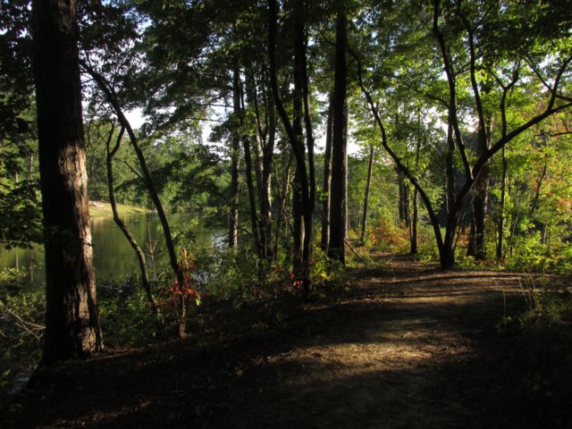 img_5600.jpg