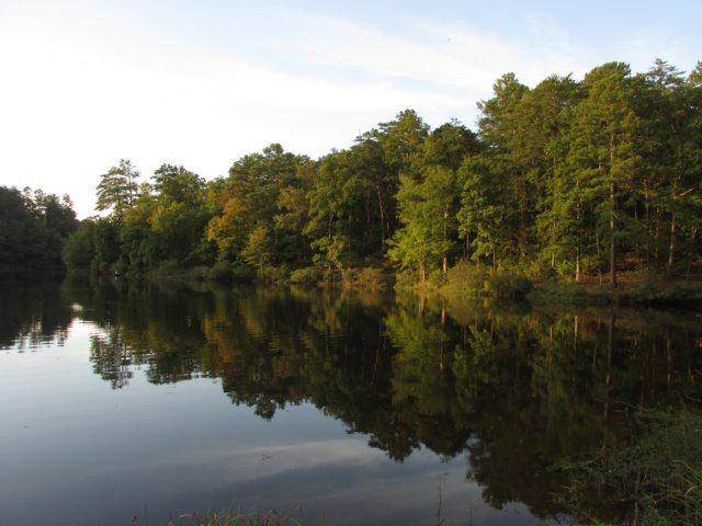 img_5709.jpg