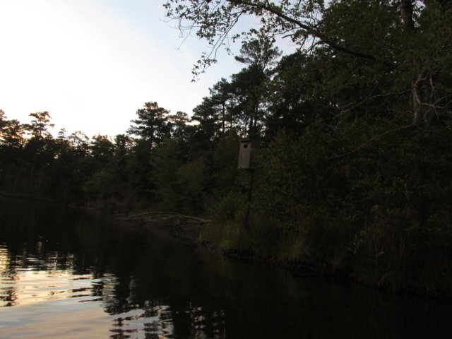 img_5746.jpg