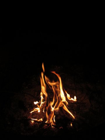 img_5779.jpg