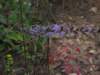 img_5848_small.jpg