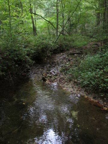 img_5861.jpg
