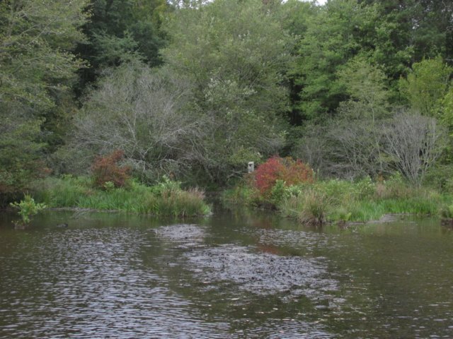 img_5887.jpg