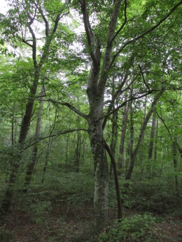 img_5959.jpg
