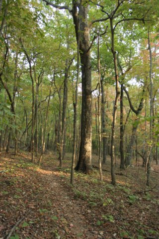 img_3583.jpg