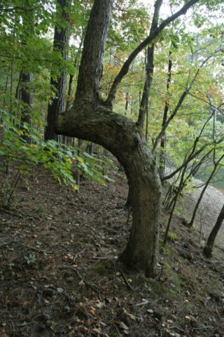 img_4014.jpg
