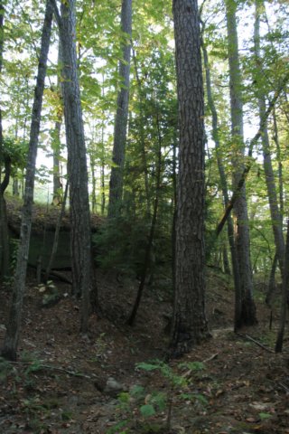 img_4046.jpg
