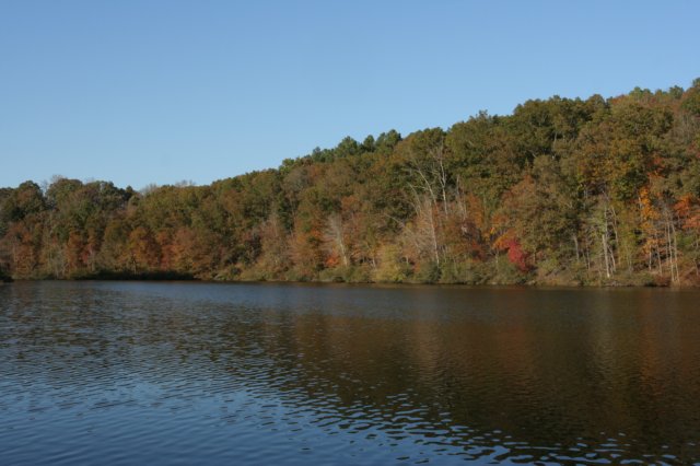 img_4732.jpg