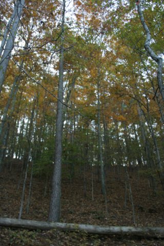 img_4786.jpg