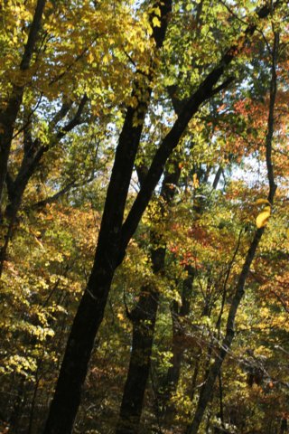 img_5128.jpg
