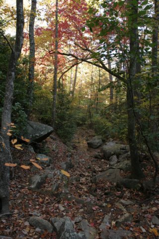 img_5173.jpg