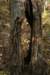 img_5231_small.jpg