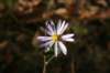 img_5265_small.jpg