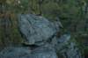 img_5351_small.jpg