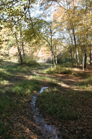 img_5498.jpg