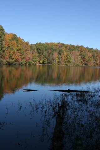 img_5534.jpg