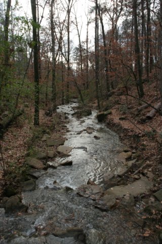 img_5934.jpg