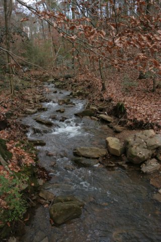 pattoncreek.jpg