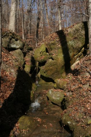 img_6340.jpg