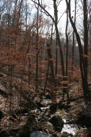img_6344.jpg