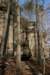 img_6561_small.jpg