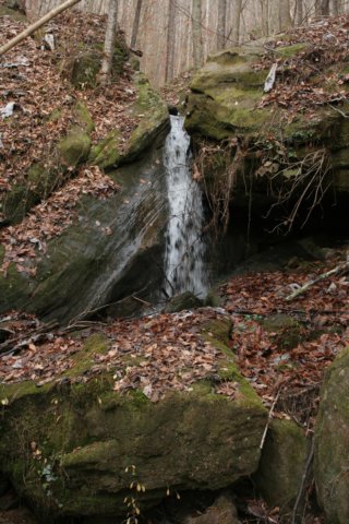 img_6845.jpg