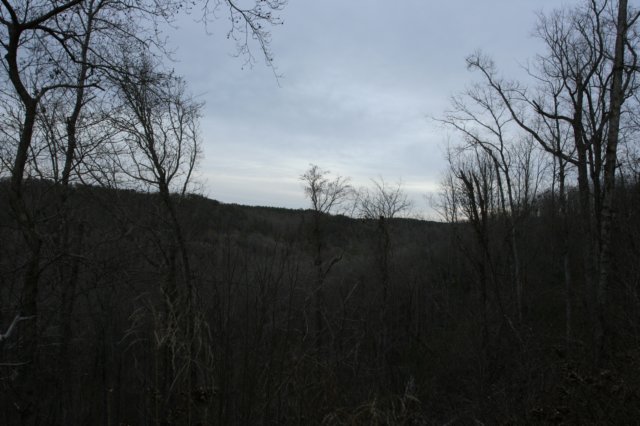 img_6998.jpg