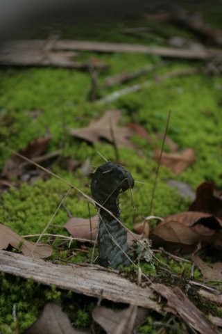 img_7342.jpg