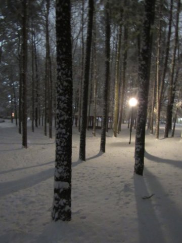 img_1959.jpg