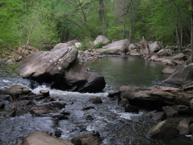 img_0349.jpg