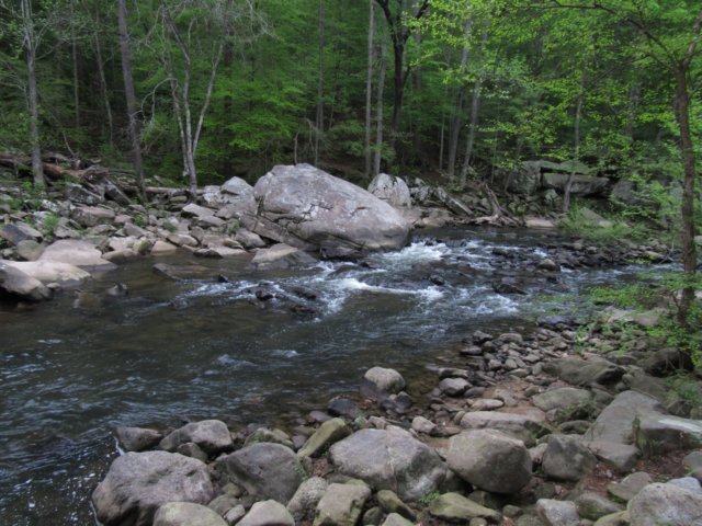 img_0399.jpg