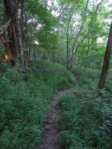 img_0257.jpg