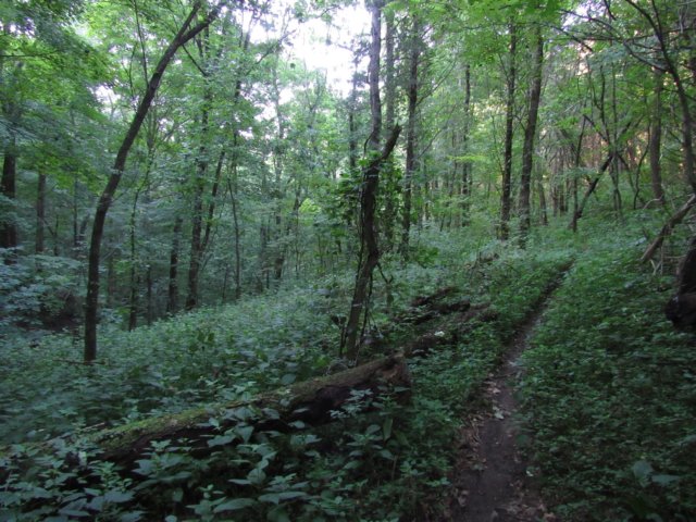 img_0264.jpg