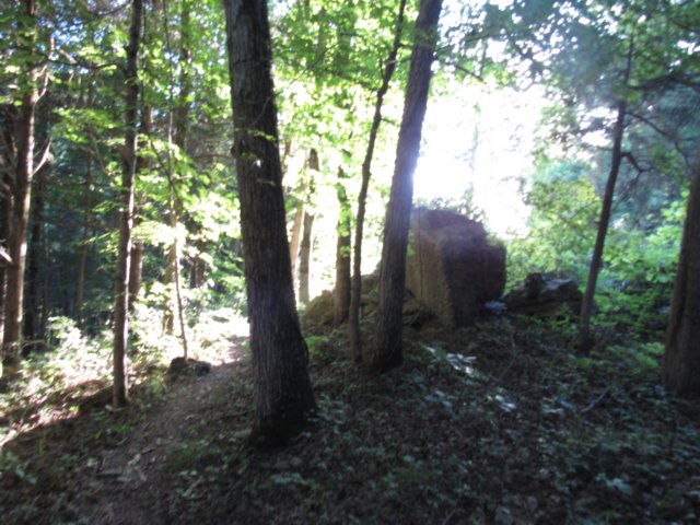 img_0281.jpg