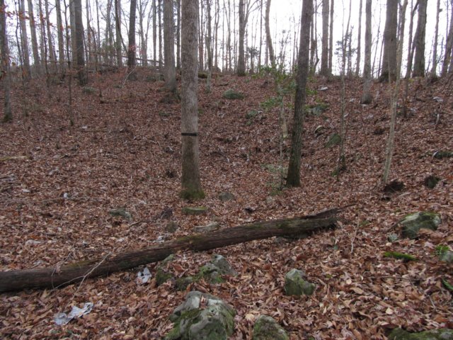 img_4942.jpg
